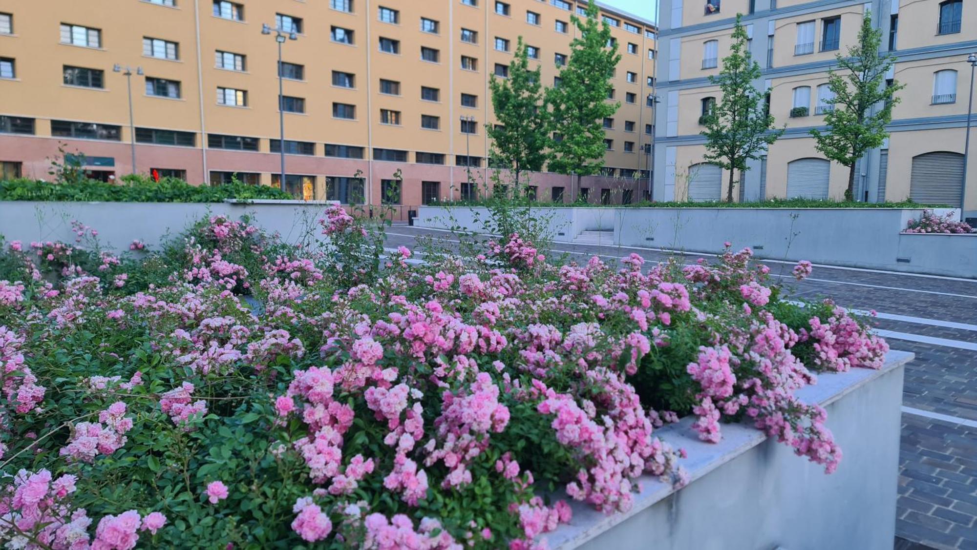 Milan Space Loft - Apartment Close To M5 Subway - Free Parking - Sky & Netflix Tv Bagian luar foto